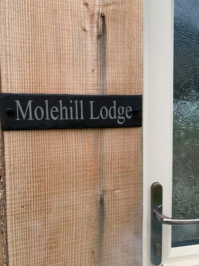 Molehill Lodge Суонси Экстерьер фото