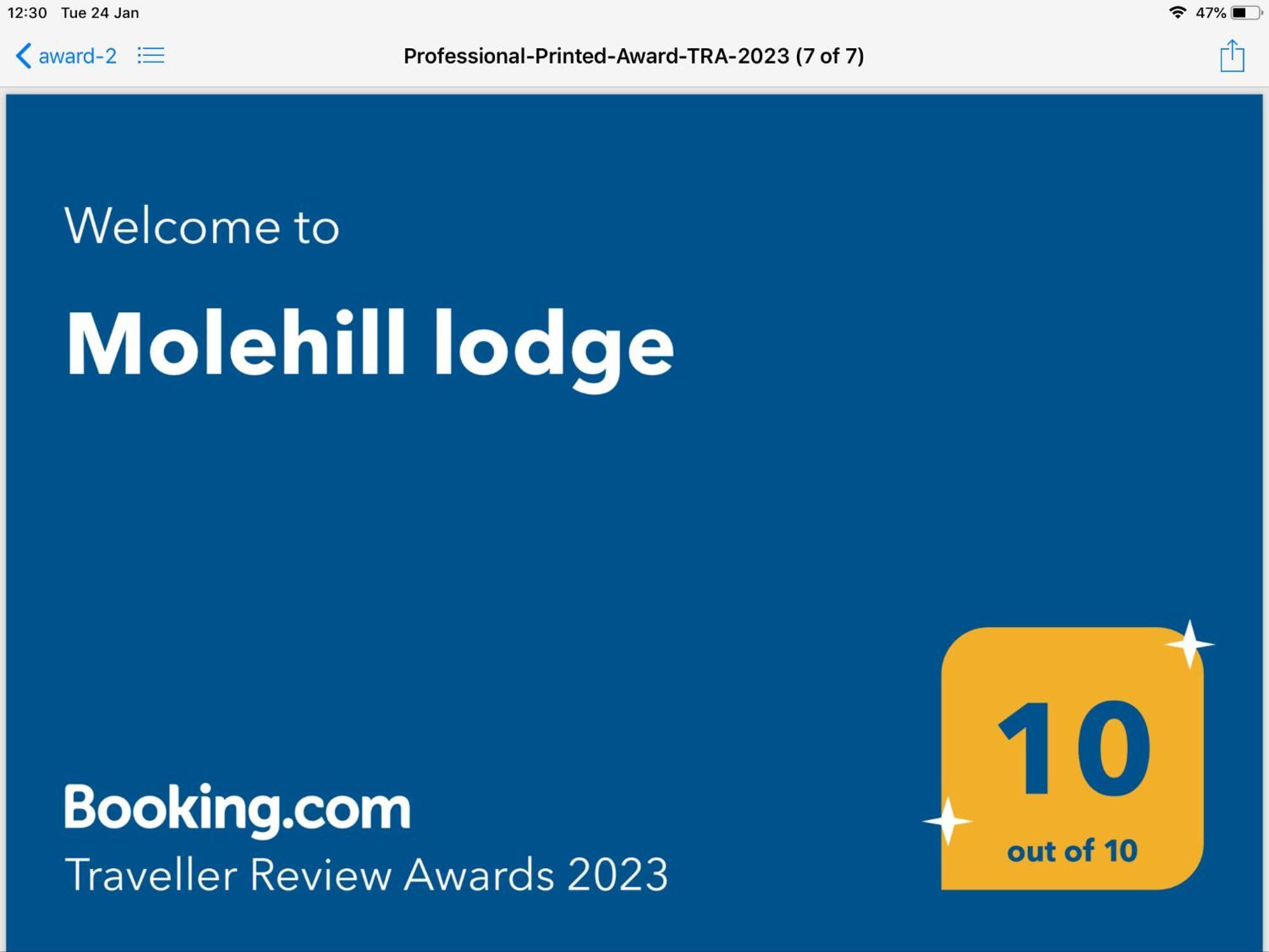 Molehill Lodge Суонси Экстерьер фото